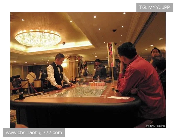 澳门角子机数据分析工具的选择与应用技巧，助力赌场实现智能化管理