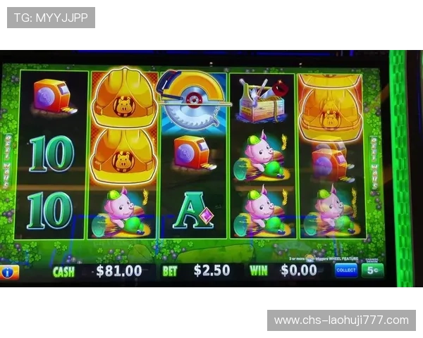 奔驰宝马老虎机单机版无限金币版安全性分析，确保玩家游戏体验无忧无虑